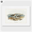 3-30_John-Gould_picture