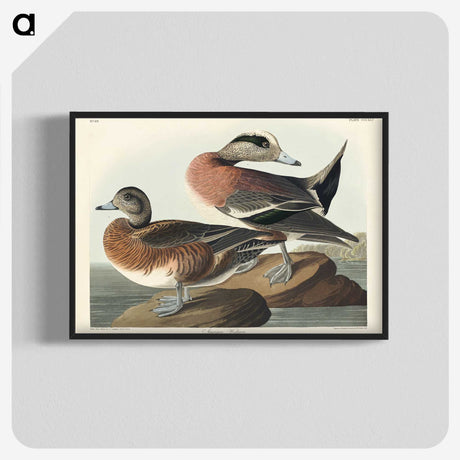 3-30_John-James-Audubon_blk-crop