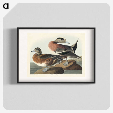 3-30_John-James-Audubon_blk
