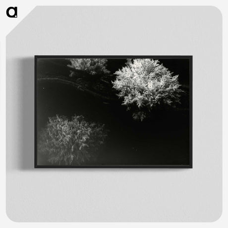 3-30_Leslie-Adkin_blk-crop