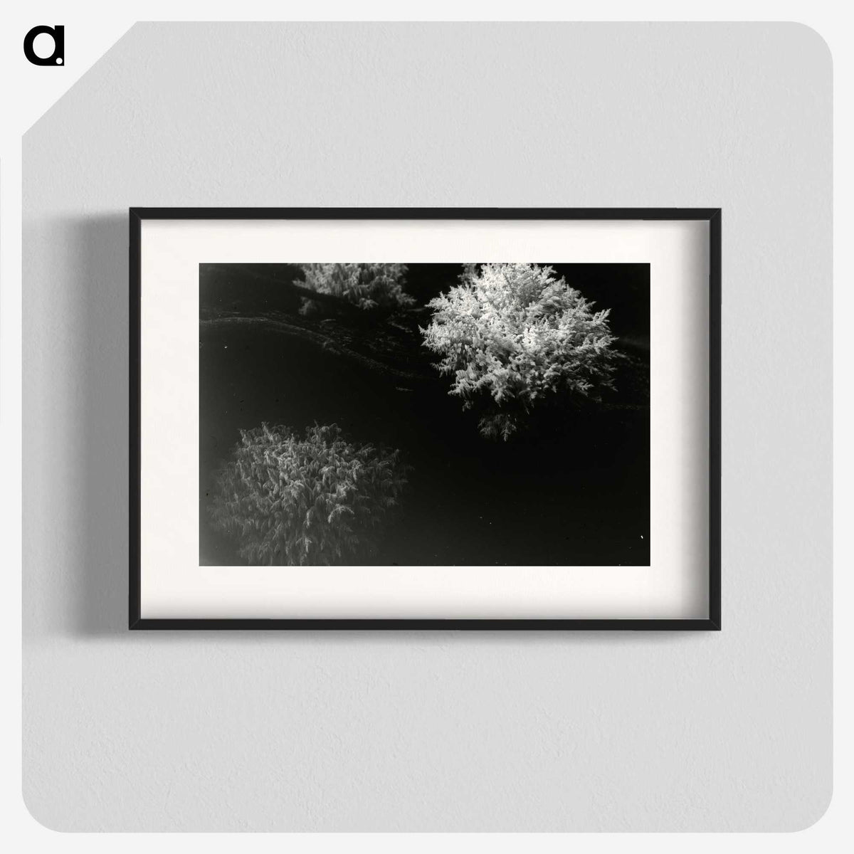 3-30_Leslie-Adkin_blk
