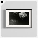 3-30_Leslie-Adkin_blk