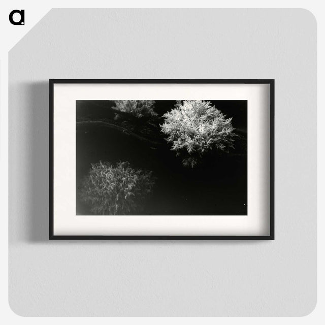 3-30_Leslie-Adkin_blk