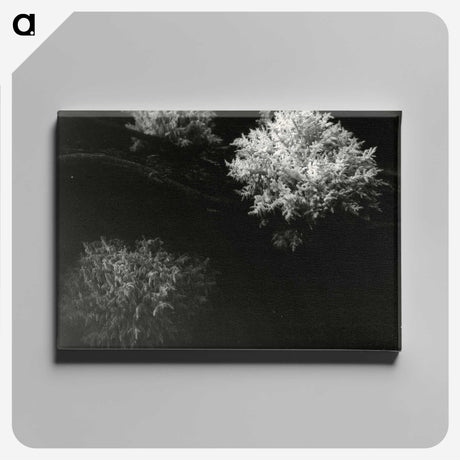3-30_Leslie-Adkin_canvas