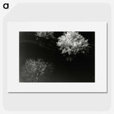 3-30_Leslie-Adkin_picture