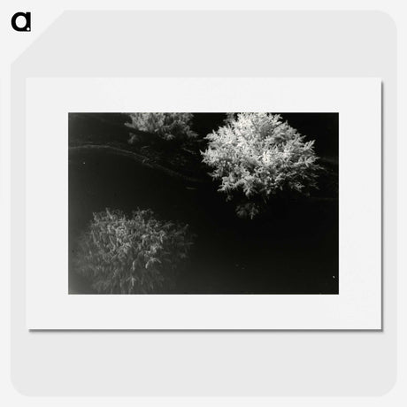 3-30_Leslie-Adkin_picture