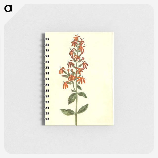 3-30_Maria-Sibylla-Merian_memo