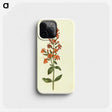 3-30_Maria-Sibylla-Merian_phone