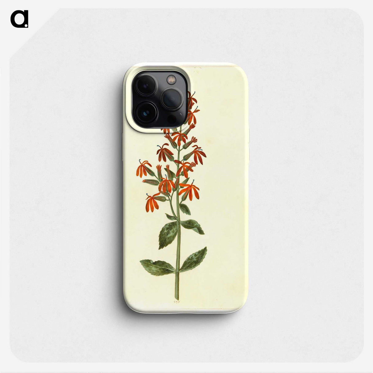 3-30_Maria-Sibylla-Merian_phone