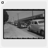 3-30_Marion-Post-Wolcott_picture-crop