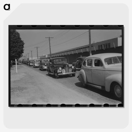 3-30_Marion-Post-Wolcott_picture-crop
