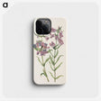 3-30_Mary-Vaux-Walcott_phone