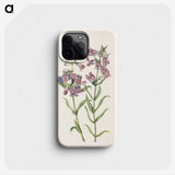 3-30_Mary-Vaux-Walcott_phone