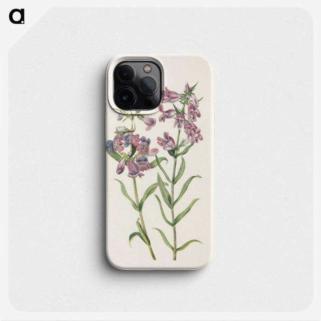 3-30_Mary-Vaux-Walcott_phone