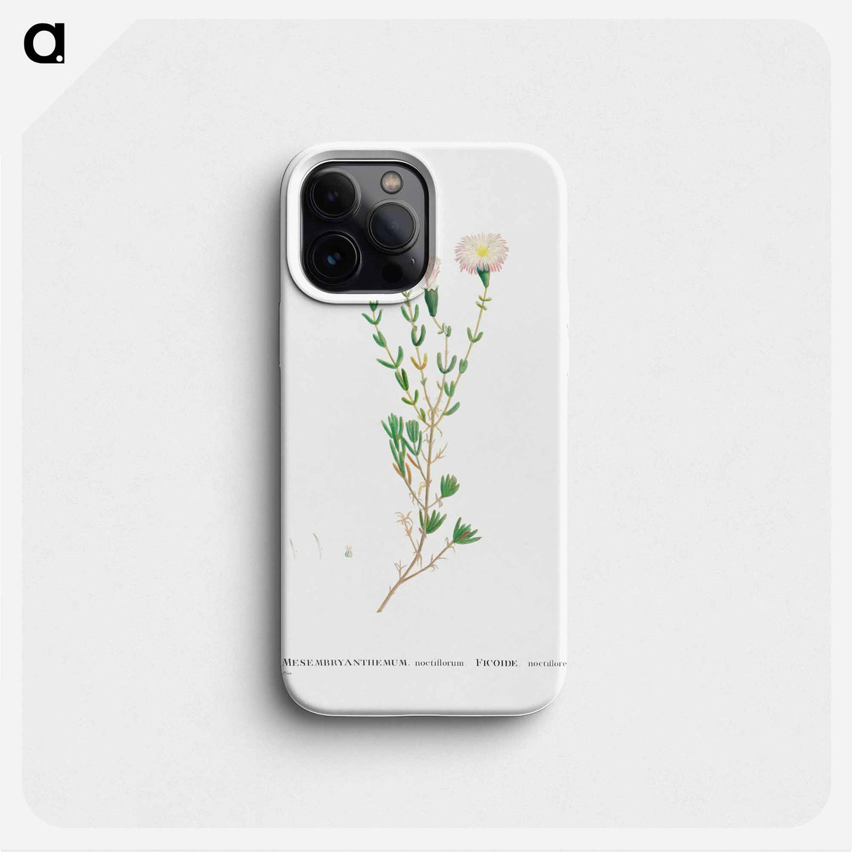Mesembryanthemum Nodiflorum (Slenderleaf Iceplant) - ピエール ジョゼフ ルドゥーテ Phone Case.