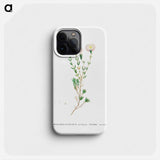 Mesembryanthemum Nodiflorum (Slenderleaf Iceplant) - ピエール ジョゼフ ルドゥーテ Phone Case.