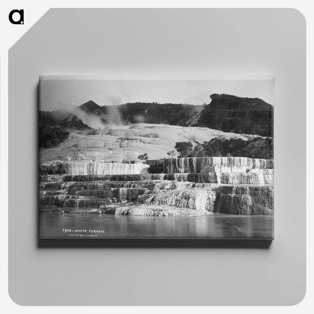 3-30_The-Burton-Brothers_canvas