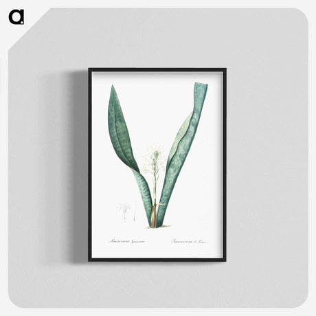 3-30_The-Lilies_blk-crop