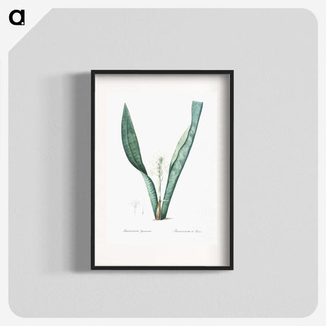 3-30_The-Lilies_blk