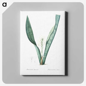 3-30_The-Lilies_canvas