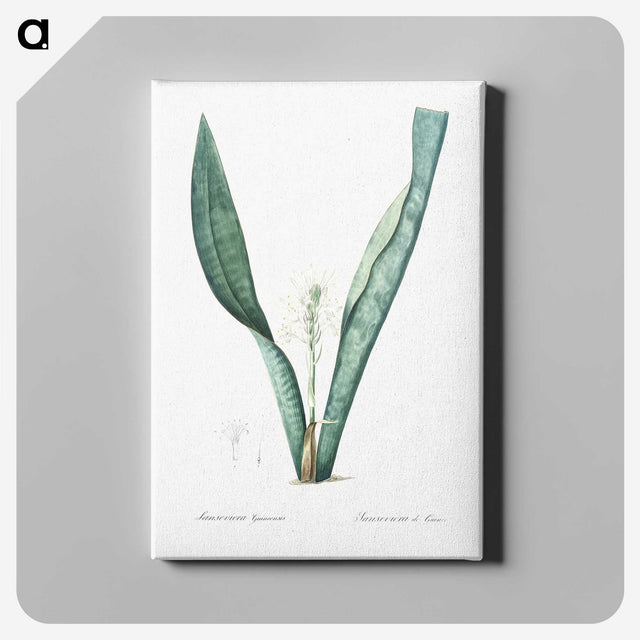 3-30_The-Lilies_canvas
