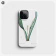 3-30_The-Lilies_phone