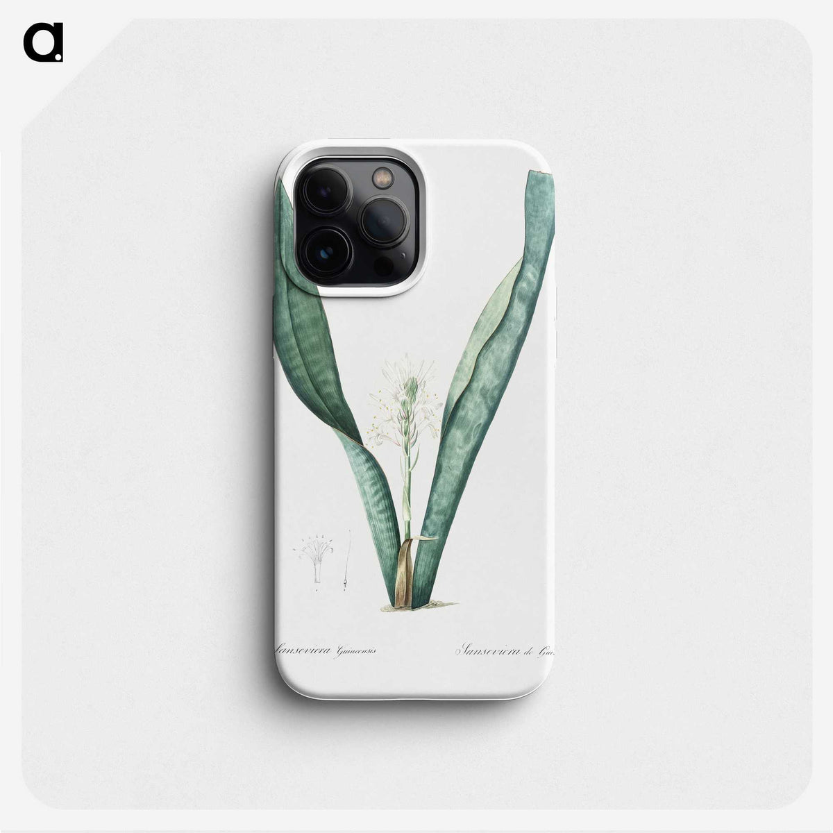3-30_The-Lilies_phone