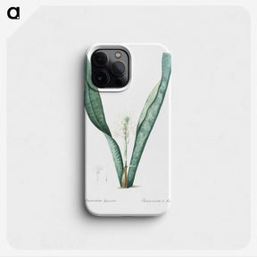 3-30_The-Lilies_phone