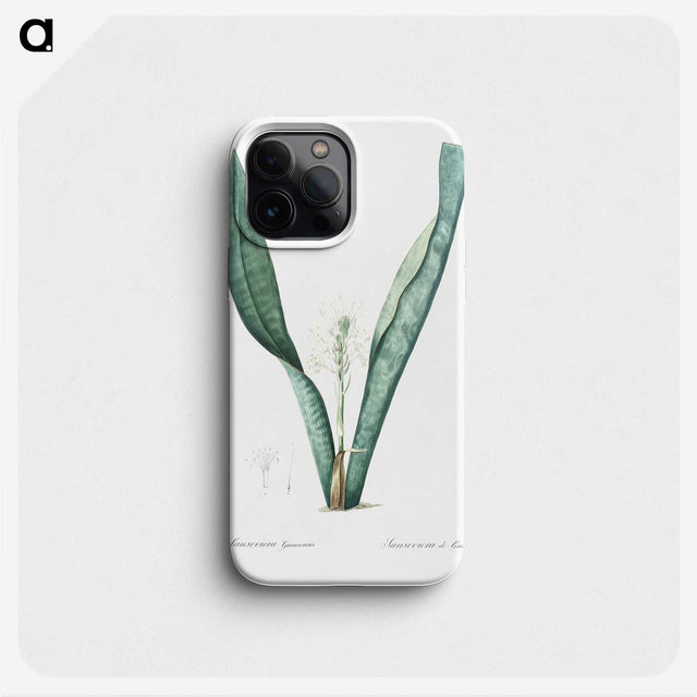 3-30_The-Lilies_phone