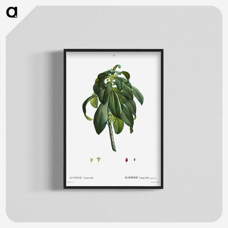 3-30_Treatise-on-Trees-and-Shrubs_blk-crop