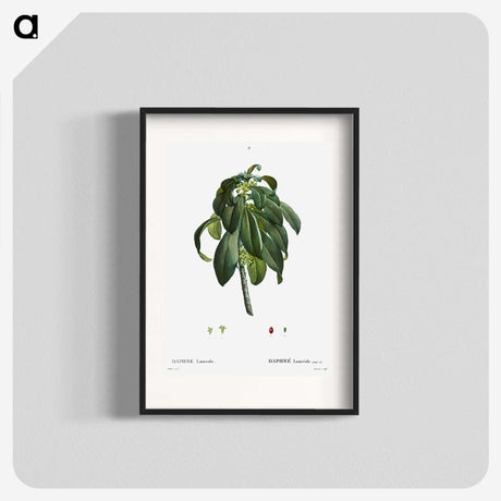 3-30_Treatise-on-Trees-and-Shrubs_blk