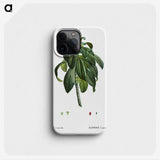 3-30_Treatise-on-Trees-and-Shrubs_phone