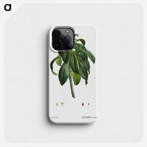 3-30_Treatise-on-Trees-and-Shrubs_phone