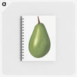 3-30_USDA-Watercolor-Fruit-Painting-Collection_memo
