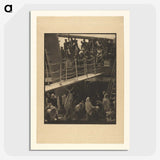 3-31_Alfred-Stieglitz_picture-crop