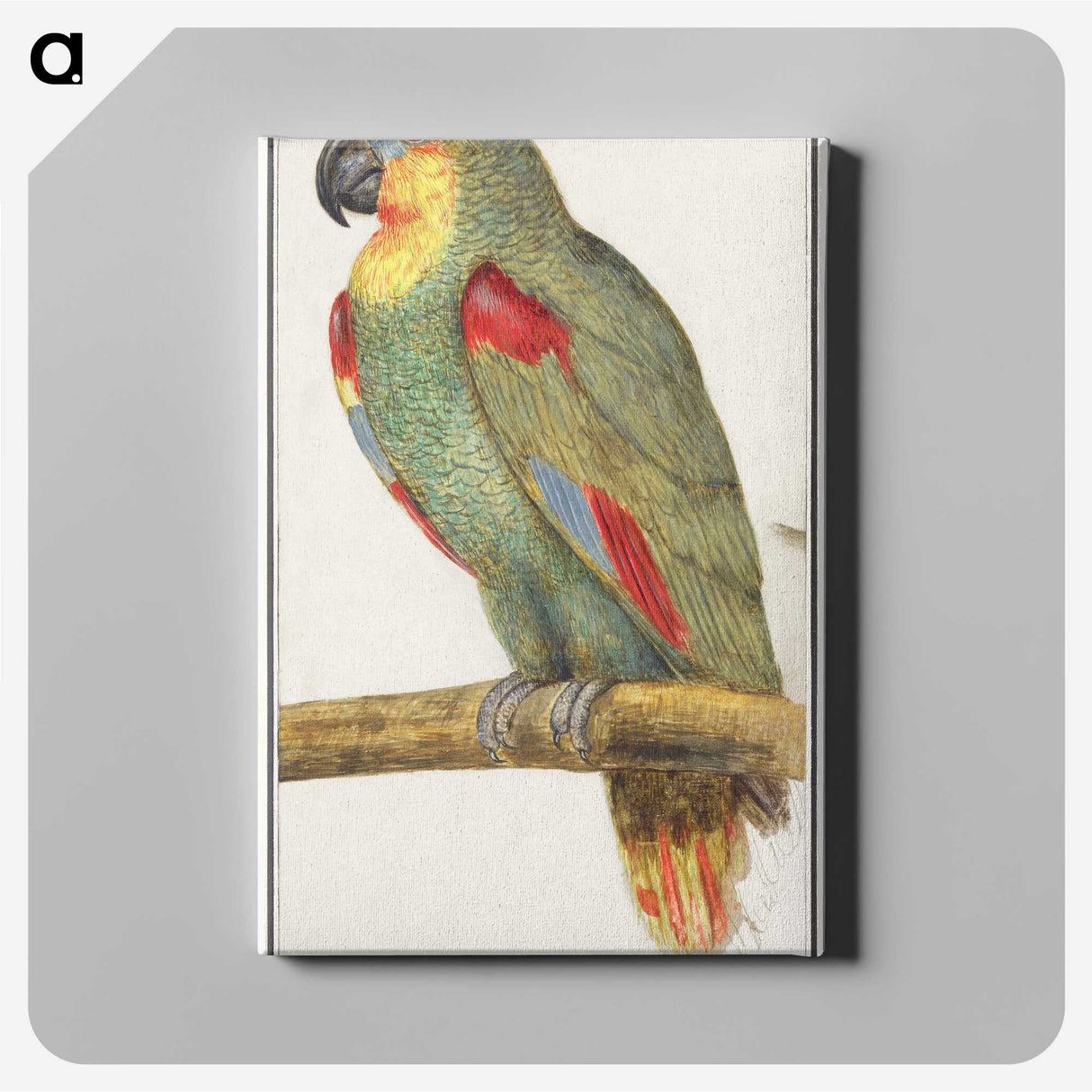 3-31_Anselmus-Boetius-de-Boodt_canvas