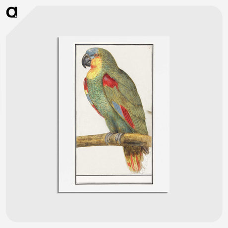 3-31_Anselmus-Boetius-de-Boodt_hagaki