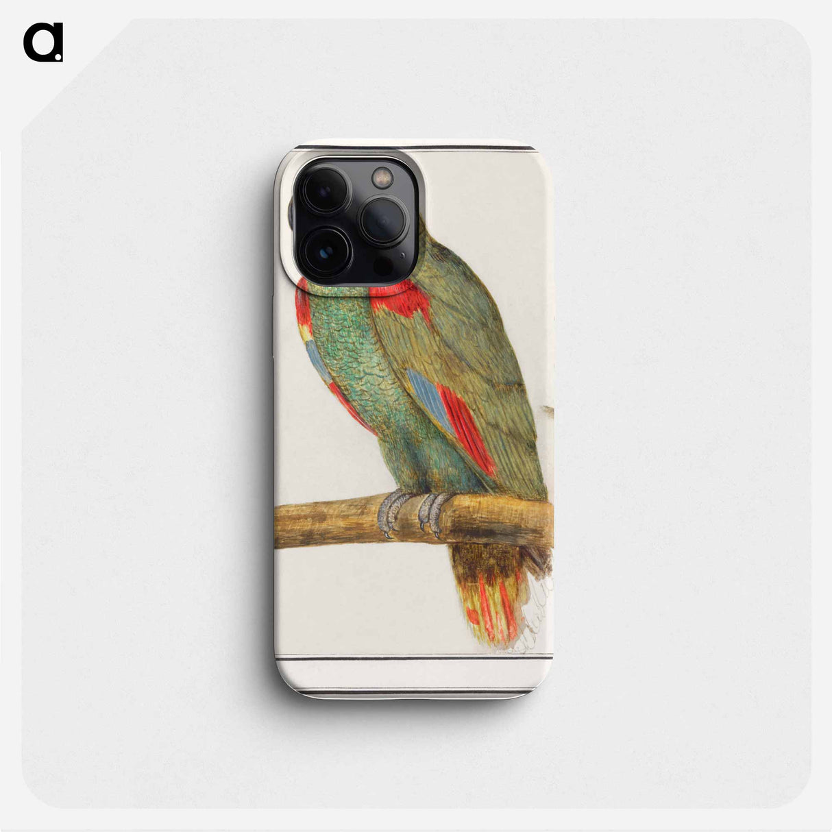 Parrot - アンセルムス ボエティウス デ ブート Phone Case.