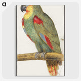 3-31_Anselmus-Boetius-de-Boodt_picture-crop