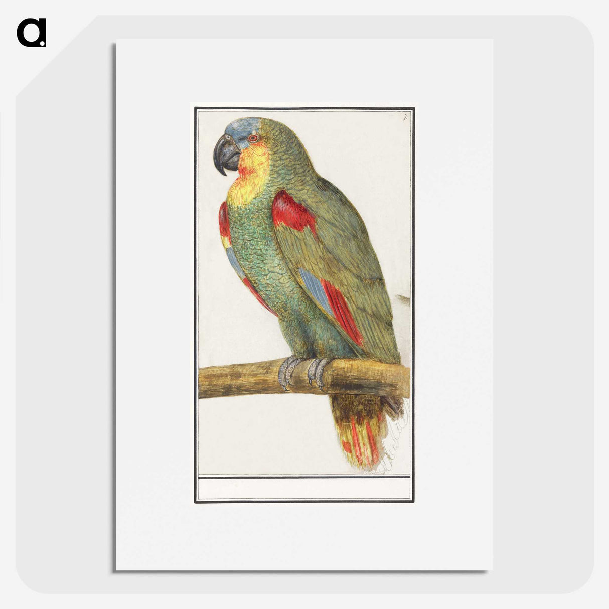 3-31_Anselmus-Boetius-de-Boodt_picture