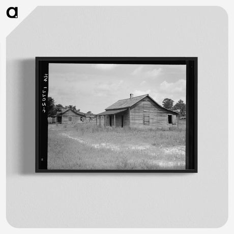 3-31_Dorothea-Lange_blk-crop
