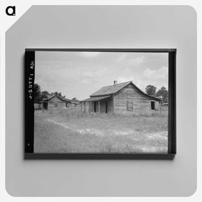 3-31_Dorothea-Lange_canvas