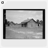 3-31_Dorothea-Lange_picture-crop