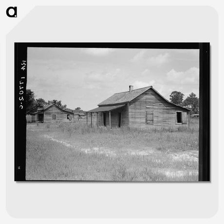 3-31_Dorothea-Lange_picture-crop