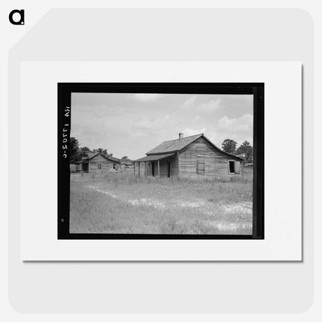 3-31_Dorothea-Lange_picture