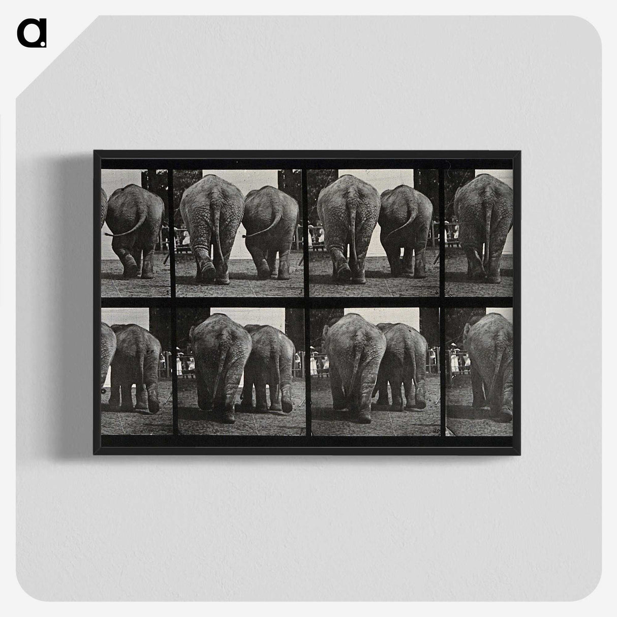 3-31_Eadweard-Muybridge_blk-crop