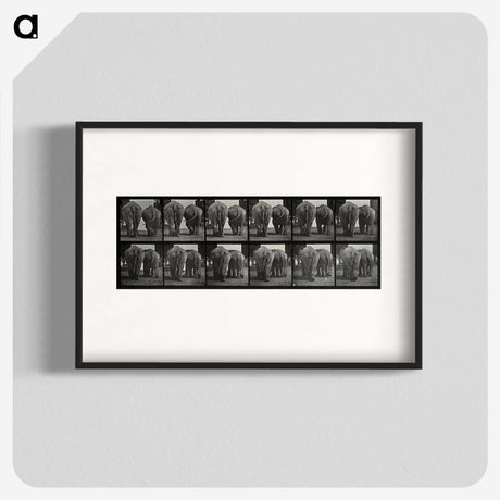 3-31_Eadweard-Muybridge_blk