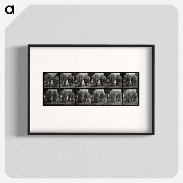 3-31_Eadweard-Muybridge_blk