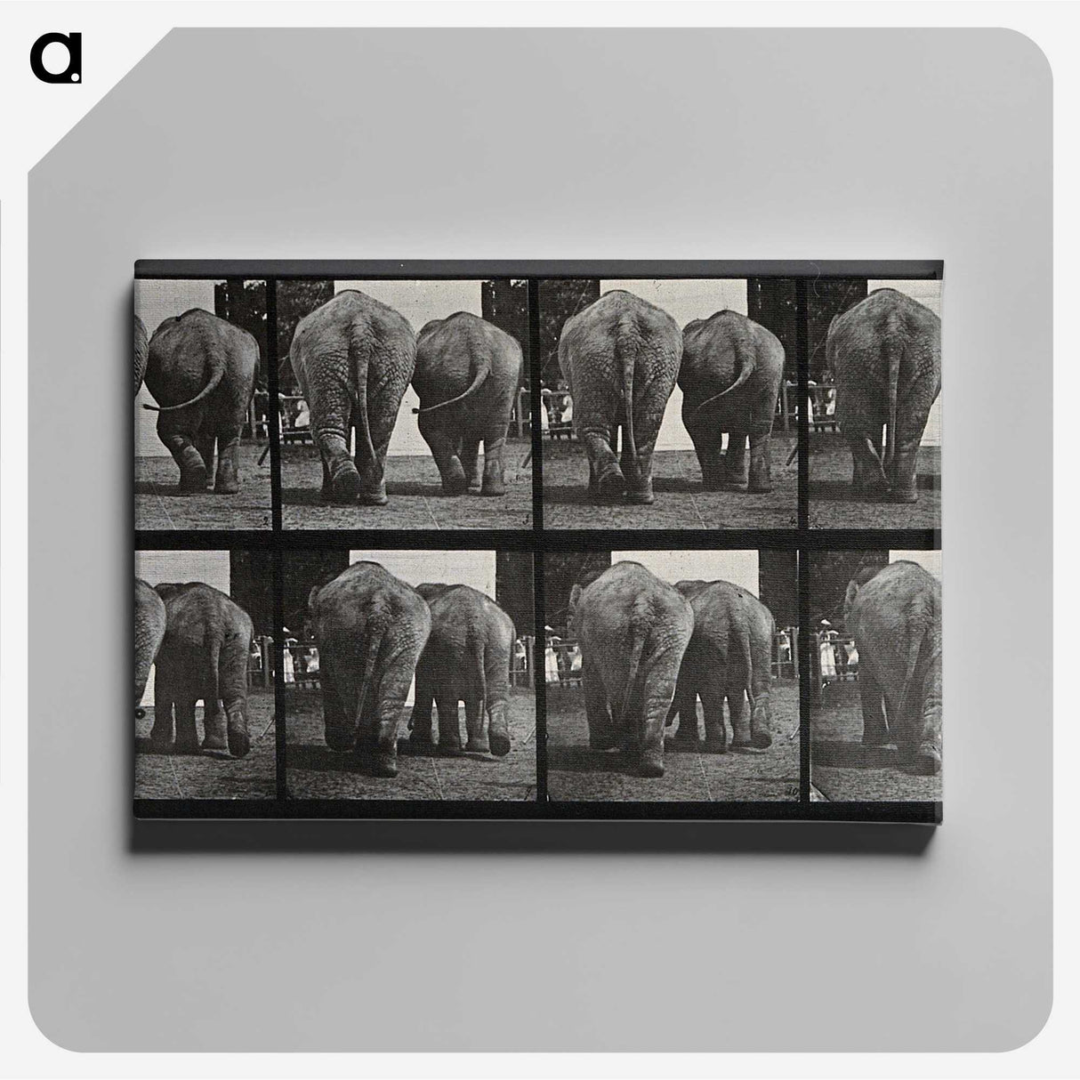 3-31_Eadweard-Muybridge_canvas