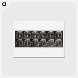 アートポストカード-Walking Elephants
 - エドワード マイブリッジ Postcard.